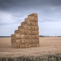 A stack of straw in a field.