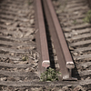 The railway rails in a railway track.