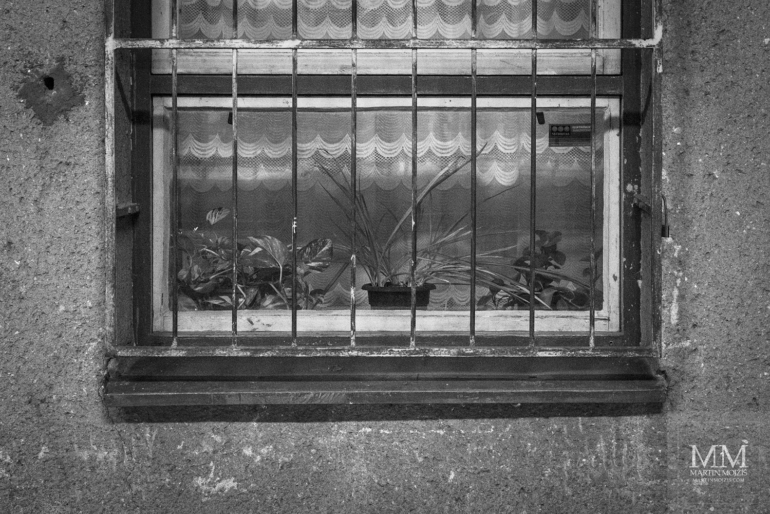 Flowers behind the window. Zdice railway station.