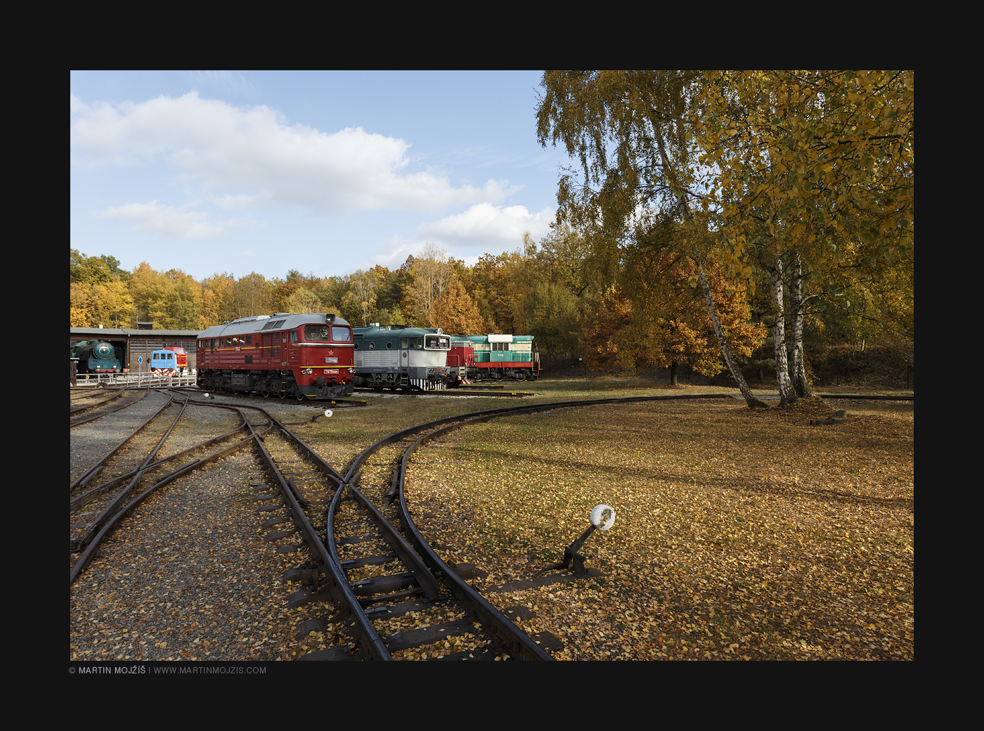 Birches, golden leaves and narrow gauge railway tracks.