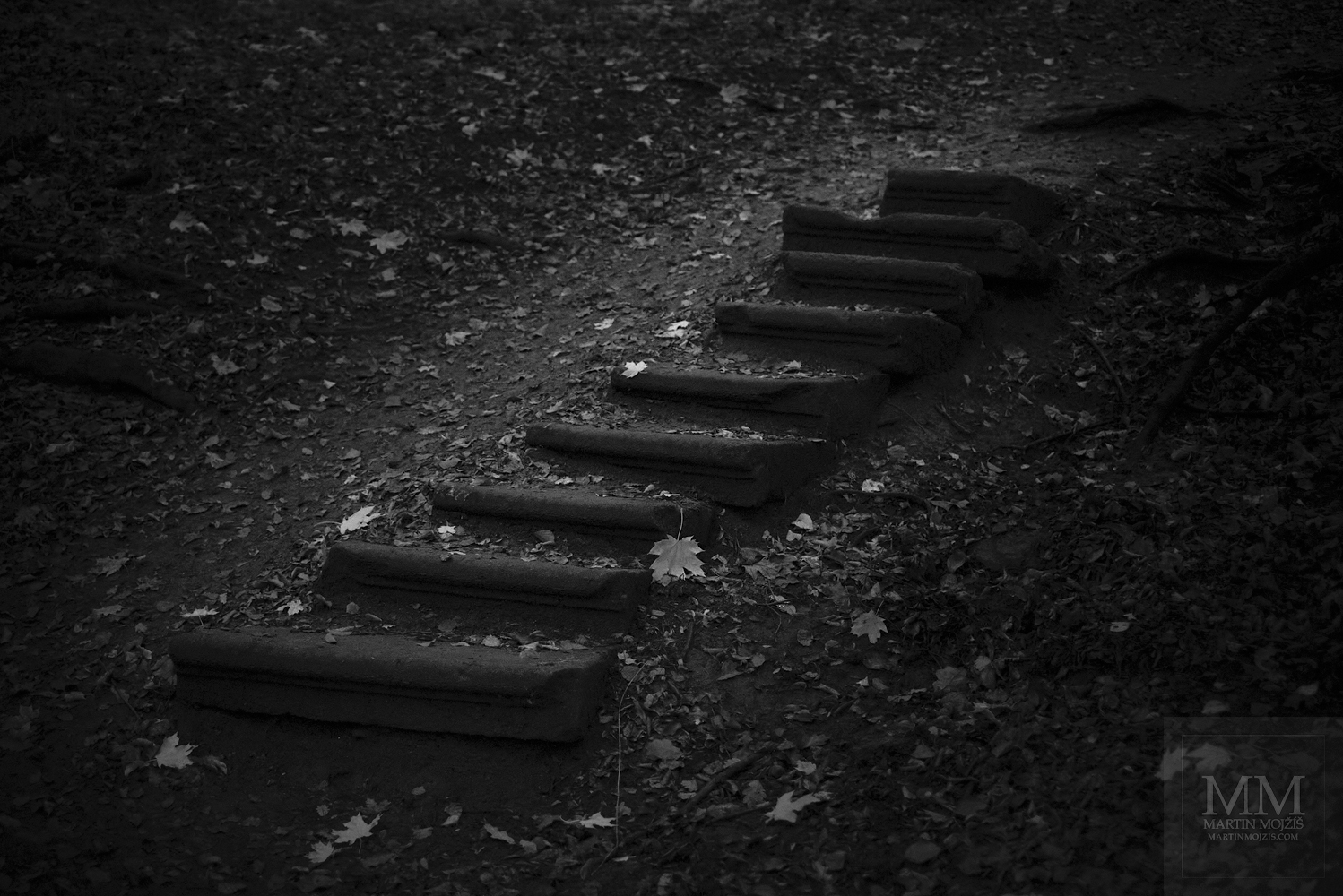 Umělecká velkoformátová fotografie Několik schodů. Fotograf Martin Mojžíš.