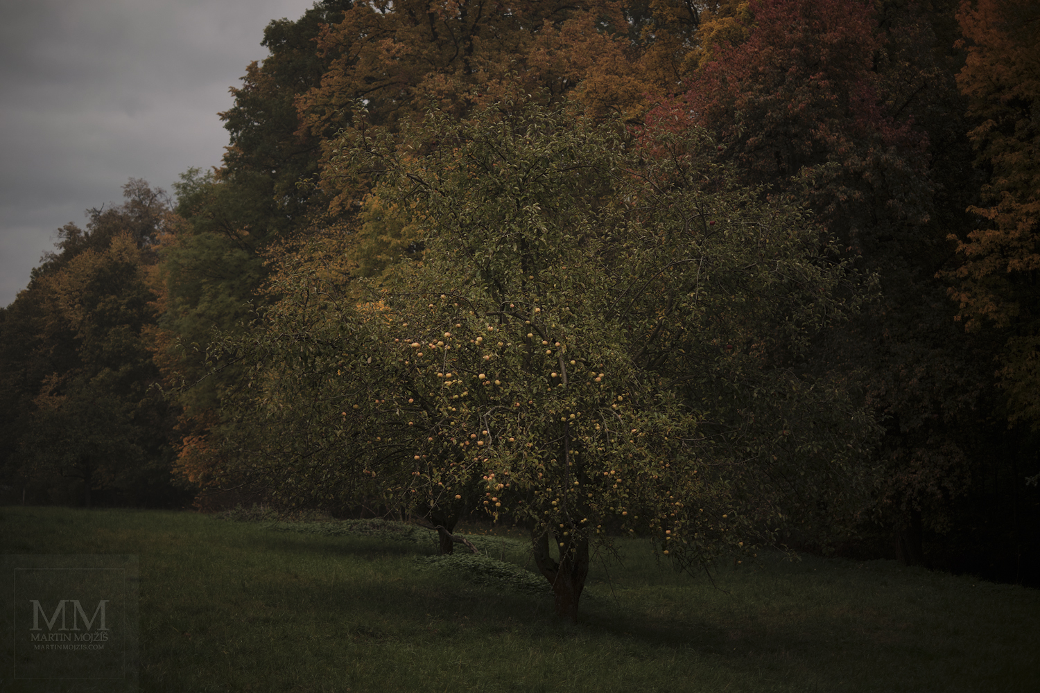 Umělecká velkoformátová fotografie Tichý podzim u zámeckého parku. Fotograf Martin Mojžíš.