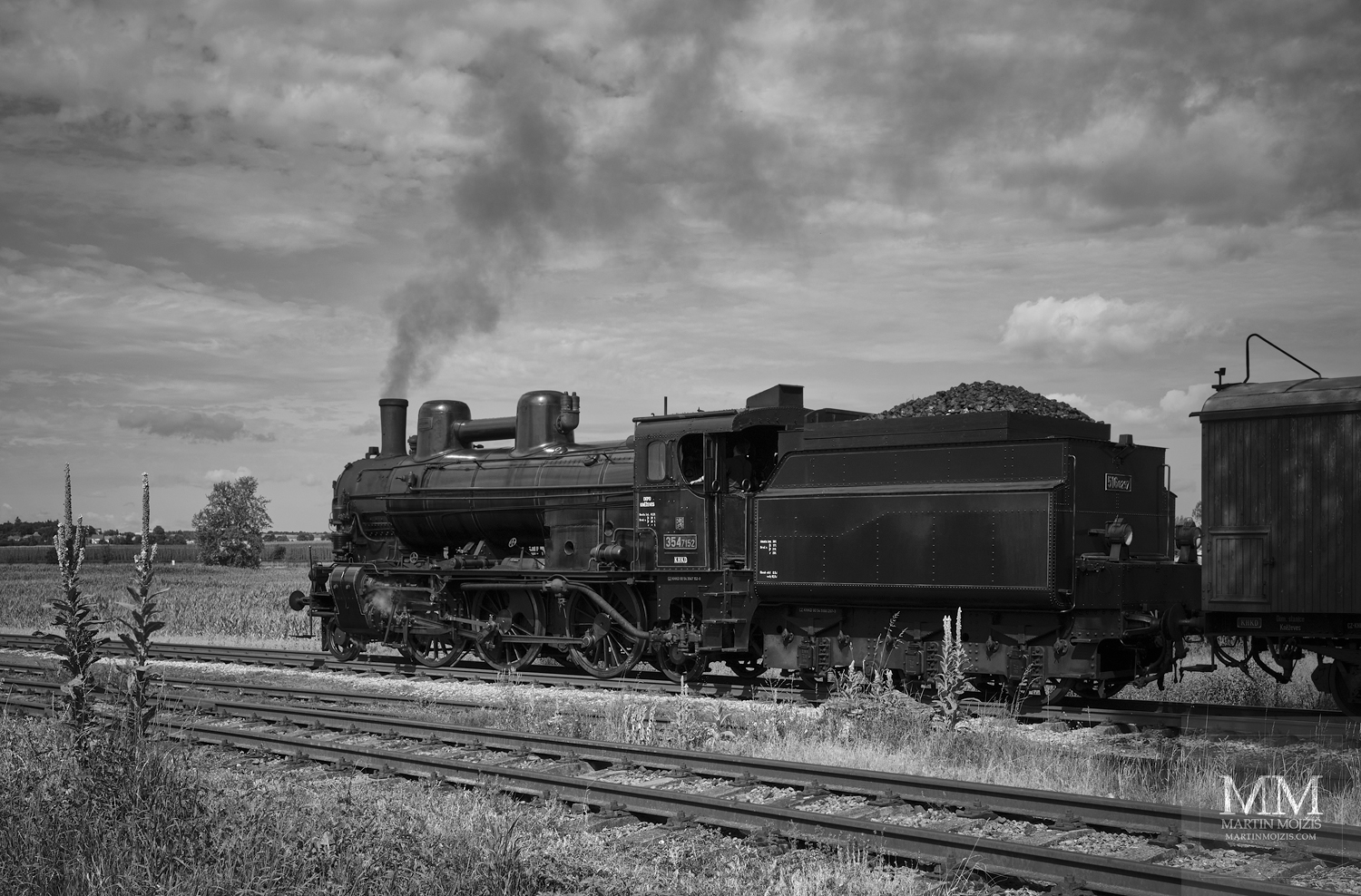 Parní vlak na kolejích, kvetoucí divizny. Umělecká černobílá fotografie s názvem U DIVIZEN. Fotograf Martin Mojžíš.