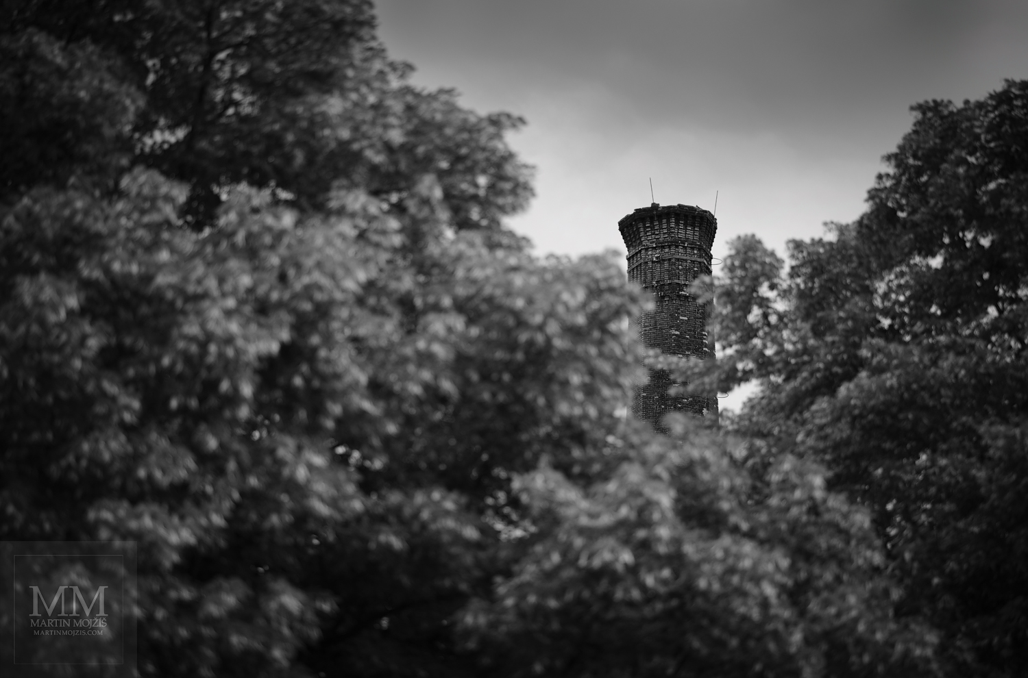 Vysoký cihlový tovární komín téměř skrytý za korunami velkých stromů. Umělecká černobílá fotografie s názvem ZA KORUNAMI STROMŮ. Fotograf Martin Mojžíš.