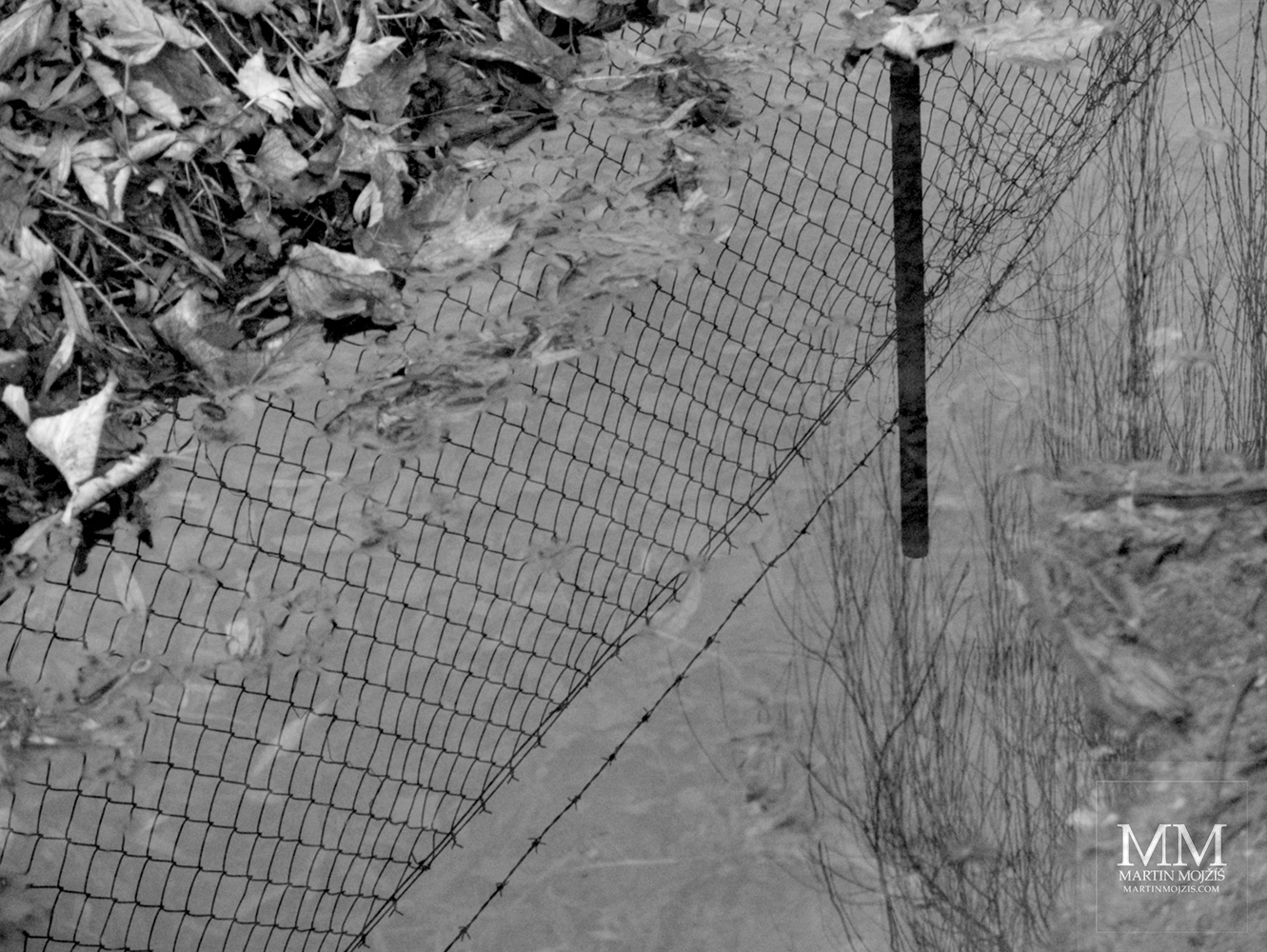 Odraz drátěného plotu na hladině kaluže. Fotografie s názvem V PLOTĚ II.