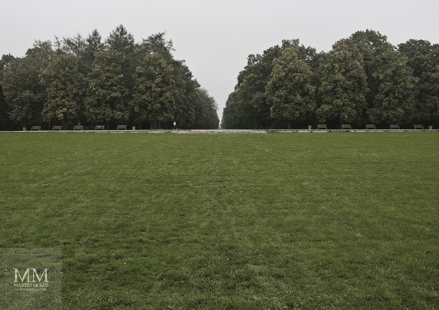 Městský park, travnatá louka, v pozadí stromy. Umělecká fotografie Martina Mojžíše s názvem TICHÉ RÁNO V MĚSTSKÉM PARKU.