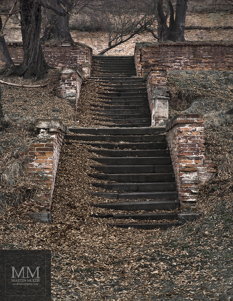 Historic staircase in the garden, fallen leaves. Fine Art photograph of Martin Mojzis with the title THIRTY SIX STAIRS UPWARDS.