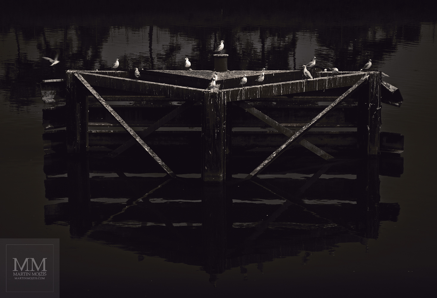 Vodní ptáci sedící na konstrukci sloužící ke kotvení lodí. Umělecká fotografie Martina Mojžíše s názvem PTÁCI.