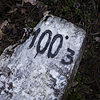 A weathered white stone with distance number 100.3 by a railway track.