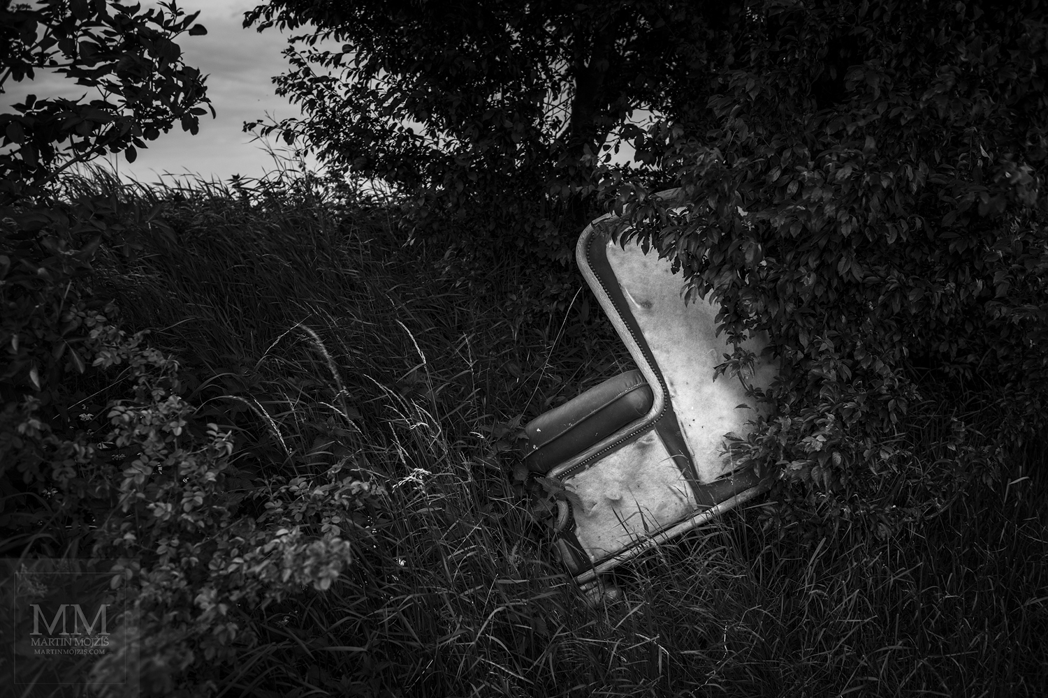 Křeslo v křovinách. Umělecká černobílá fotografie Martina Mojžíše s názvem Z POLE VYSTĚHOVÁN – VÍTEJTE V MÉM DOMĚ V.